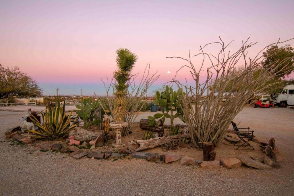 Joshua Tree Ranch House Motel - Downtown - Room #3 Dış mekan fotoğraf